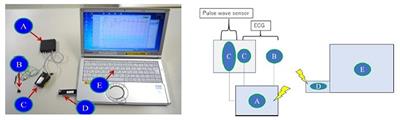 Calibration-Free Cuffless Blood Pressure Estimation Based on a Population With a Diverse Range of Age and Blood Pressure